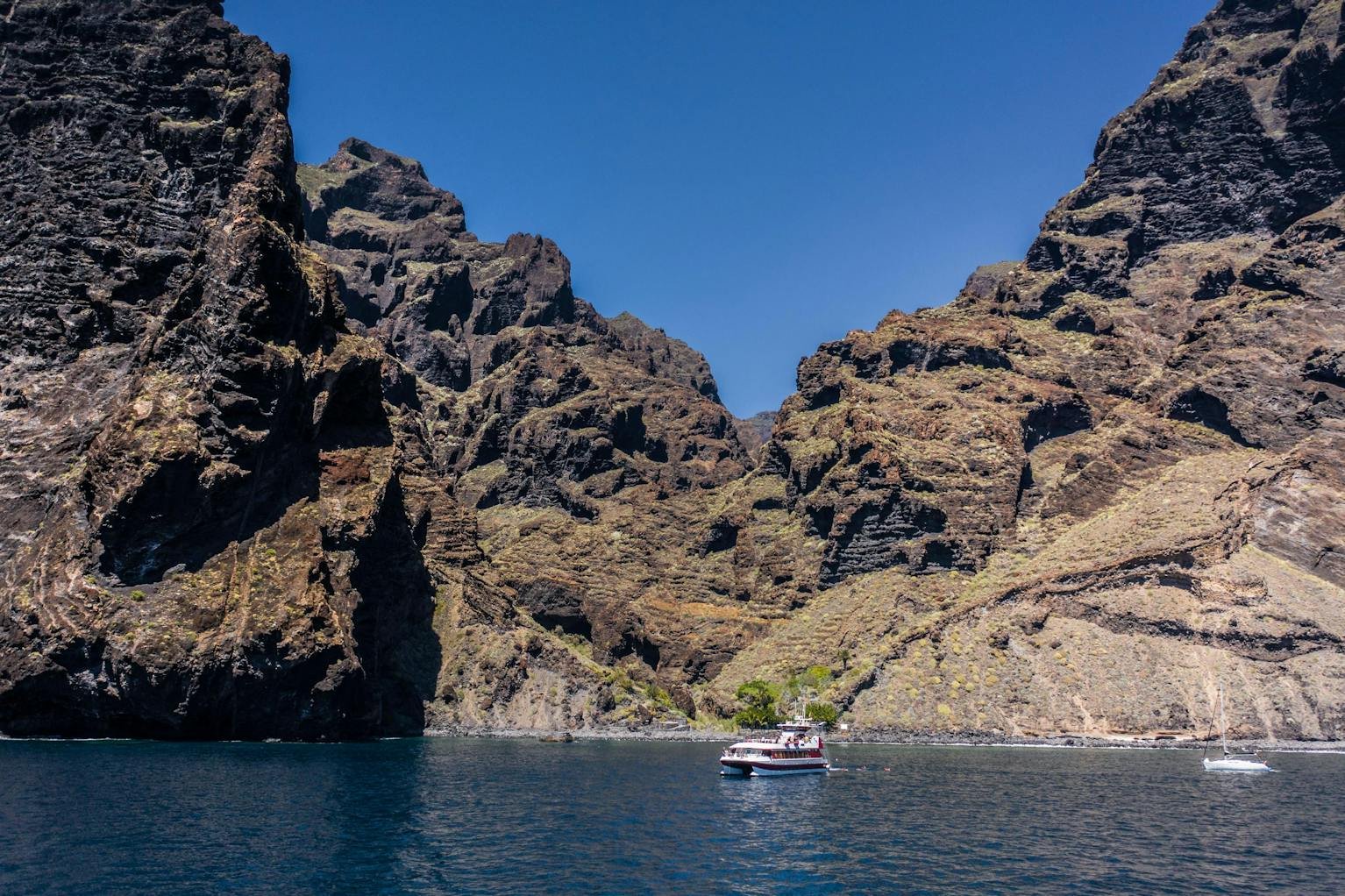 dolphin-and-whale-watching-catamaran-trip-to-los-gigantes-tenerife-dolphin-6.jpg