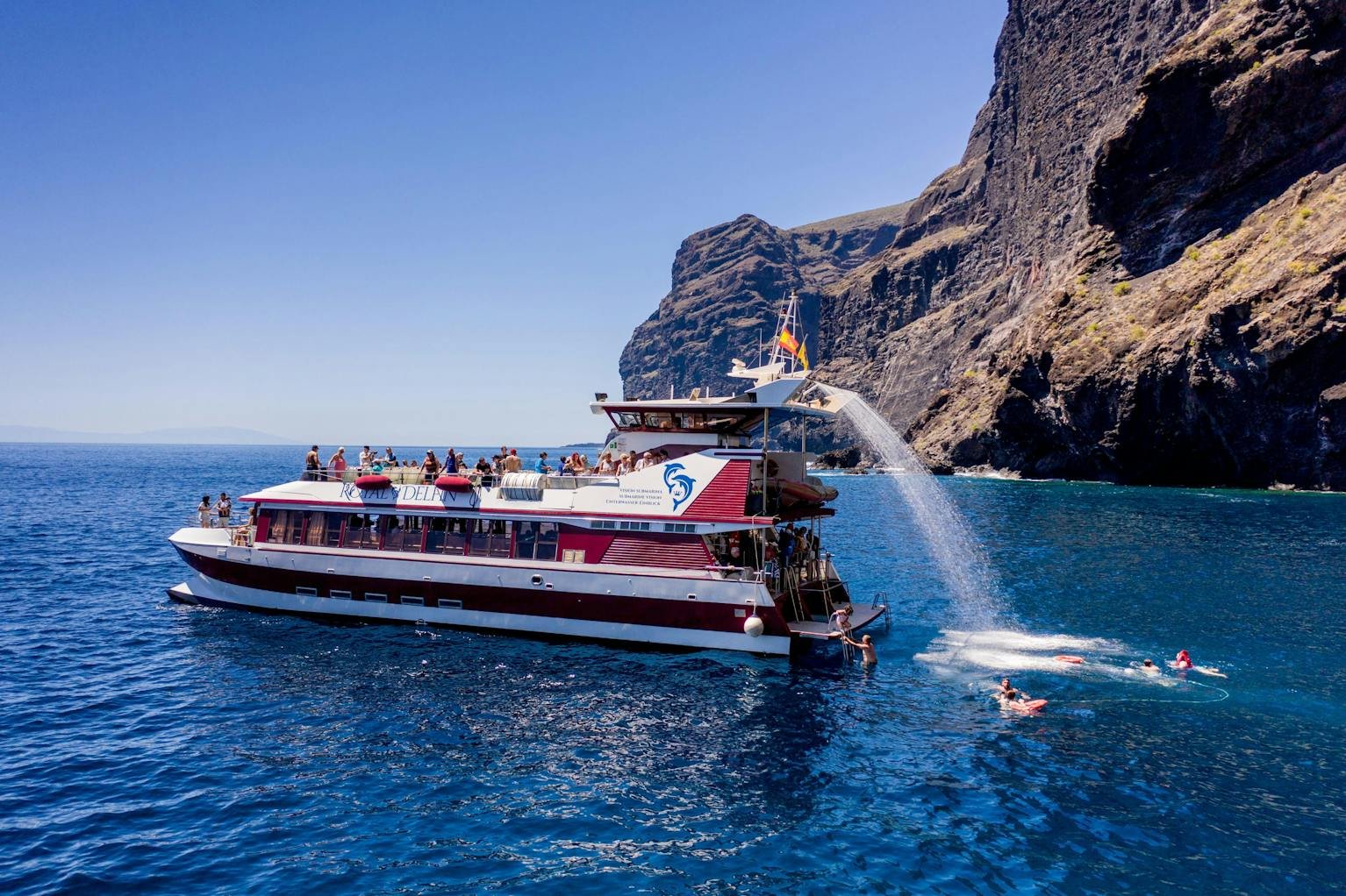 dolphin-and-whale-watching-catamaran-trip-to-los-gigantes-tenerife-dolphin-7.jpg